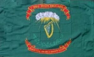 1st Infantry Regiment Irish Brigade 3×5 Flag Buy it Now – flagsandstuff.com